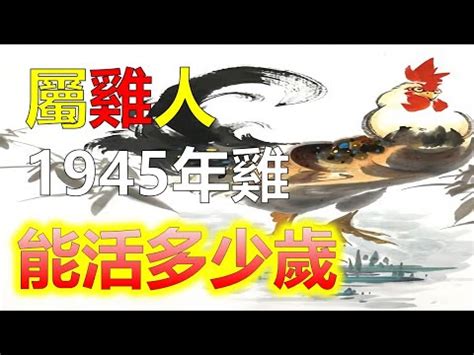 1945年屬什麼|【1945年生肖】2分鐘揭開1945年出生屬什麼生肖，還有你的命運。